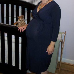 GAP Faux-Wrap Maternity/Nursing Dress